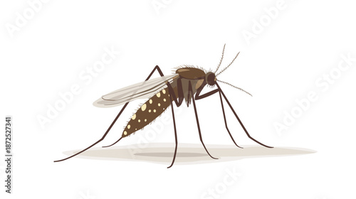 Mosquito with Distinctive Spotted Abdomen.