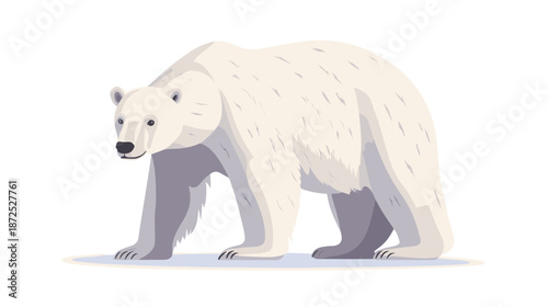 White Polar Bear Walking on White Background.