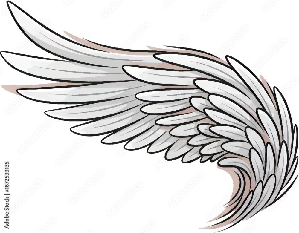 Obraz premium Elegant wing illustration with detailed feathers in a dynamic pose