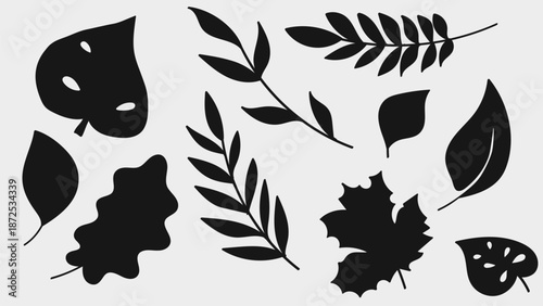 Silhouette Leaves Botanical Hand Drawn Set Collection.