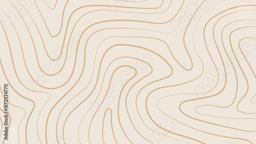 Abstract Brown Line Topography Texture on Gray Banner Background.Vector Illustration