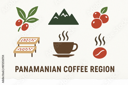 Panama coffee region vector icons with Geisha branch mountains cherries drying beds and aroma cup