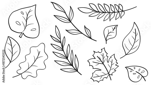 Leaves Line Hand Drawn Set Botanical Leaf Collection.Vector Illustration