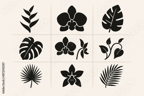 Panama flora vector icons with heliconia orchids palm leaves vines and cacao blossoms silhouettes