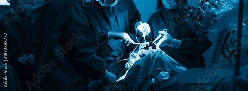 Surgeons utilize a robotic surgical assistant to perform total knee arthroplasty, focusing on bone resection and soft tissue assessment for optimal patient outcomes