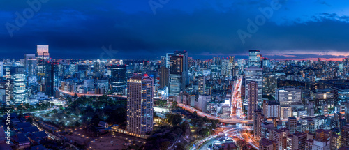 Panoramic view of Tokyo Min...