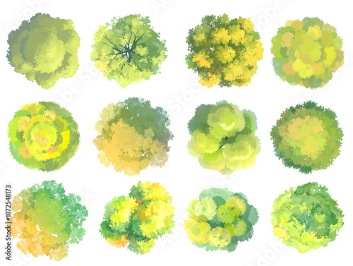 Rough watercolor top of tree