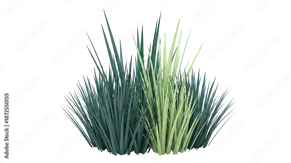 Obraz premium Green Grass Clump