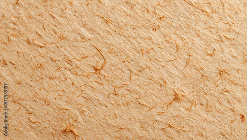 Fibrous Handmade Mulberry Paper Texture with Organic Fibers