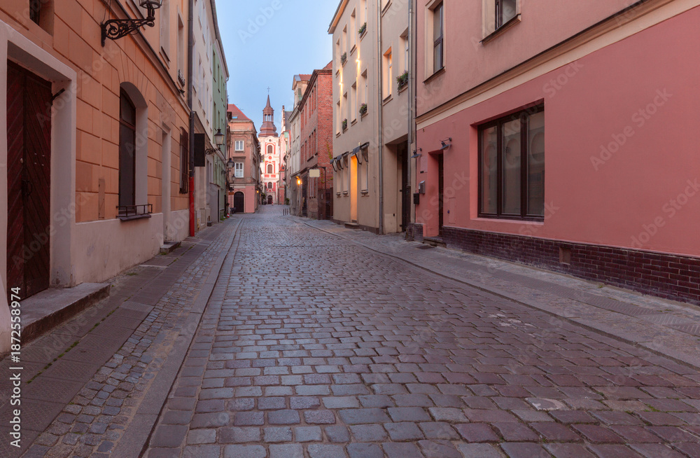 Fototapeta premium Fara Basilica Poznan Poland at Dawn