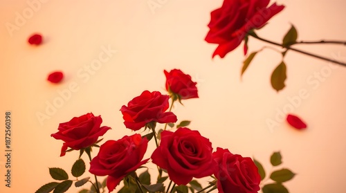 Roses on a bright yellow background.