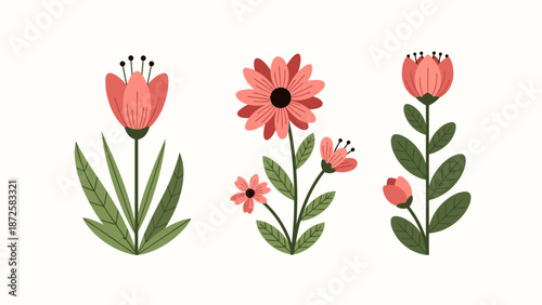 Illustration of three flowers with leaves on a white background