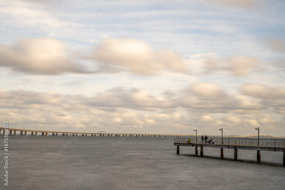 Fototapeta premium Vasco da Gama Bridge seen from riverbank