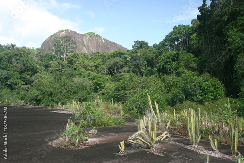 Tafelberg Central Suriname Nature Reserve UNESCO World Heritage Site in Suriname