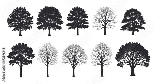 Collection of ten detailed tree silhouettes, featuring various species in both leafy summer and bare winter forms on a white background.