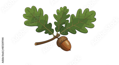 Simple illustration of a small oak branch with three characteristic lobed green leaves and a single brown acorn with its cap.