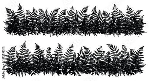 Set of two detailed black silhouette borders of dense fern foliage, creating a lush, natural design element for forest or jungle-themed projects.