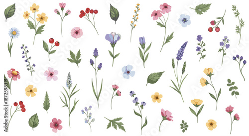 Large and beautiful collection of delicate wildflowers, green leaves, and berries, illustrated in a gentle watercolor style for various design purposes.