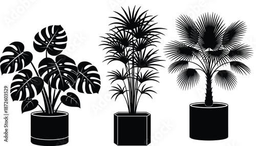 Indoor houseplant collection vector illustration, tropical potted plants silhouettes, modern home interior decor, botanical greenery design, black minimalist style artwork