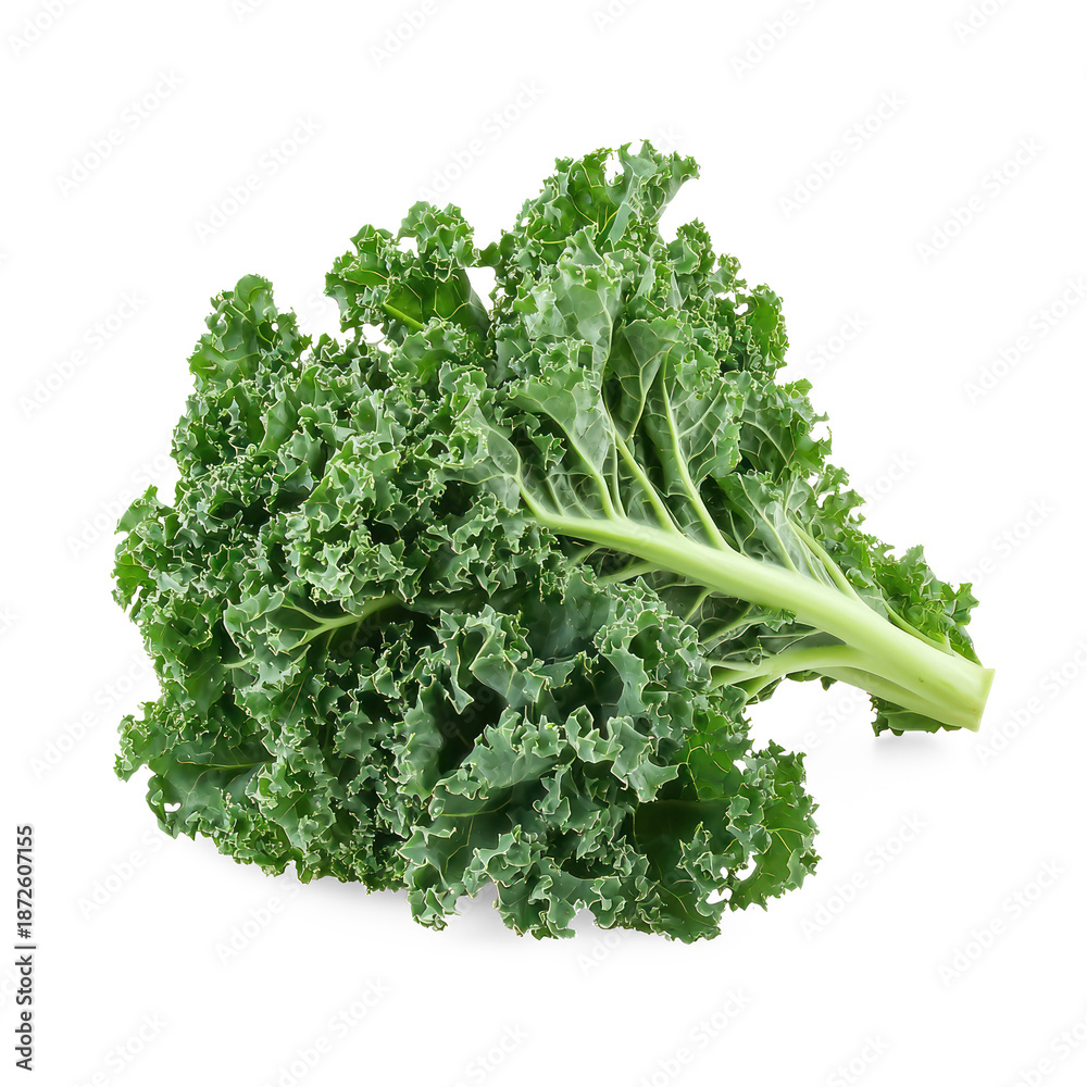 Fototapeta premium Side View of Kale The kale is viewed from the side, highlighting its ruffled texture and thick stem. full length isolate on transparent background