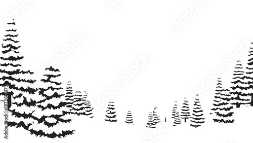 Dense monochrome forest silhouettes along a tranquil pine landscape in stark contrast.