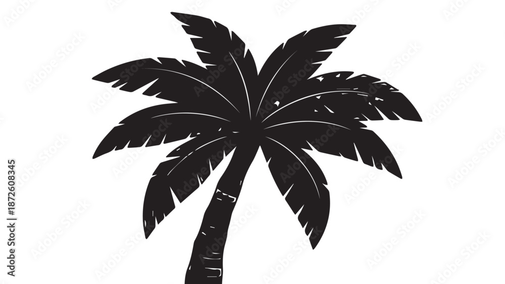 Obraz premium Majestic silhouetted palm tree in tropical setting with lush fronds and trunk against a plain background.