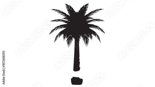 Silhouette of a tall palm tree creating a bold botanical symbol against a plain background, minimal black and white illustration of tropical flora.