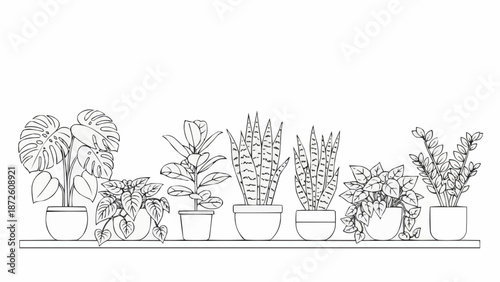 Bilde på lerret Collection of Houseplants in Pots on a Shelf Line Art.