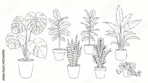Collection of Potted Houseplants in a Sketchy Line Art Style.