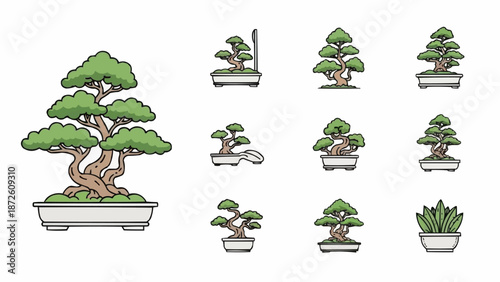 Collection of various bonsai trees in pots artistic illustration.
