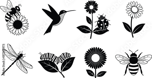 Black garden insect silhouettes set including honey bee, butterfly, hummingbird, dragonfly, ladybug, caterpillar, and blooming flowers isolated on white background,