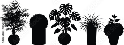 Black silhouettes of various indoor potted plants including monstera palm and ferns set, houseplant collection isolated on white background, nature