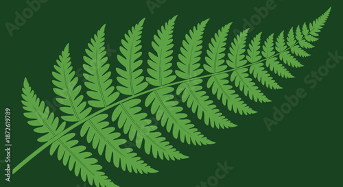 Green fern frond silhouette