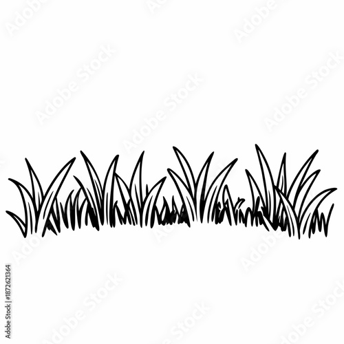 Black and white illustration of grass blades on white background