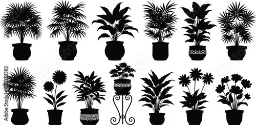 Indoor potted plant silhouettes collection, tropical houseplants and decorative planters set isolated on white background, black vector illustration for interior design use
