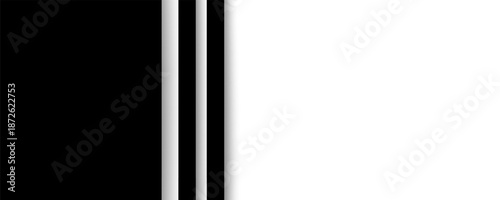 Black and White Minimal Corporate Banner Background