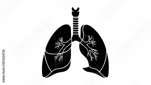 Black Silhouette of Human Lungs and Trachea.