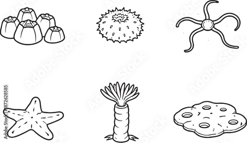 Rock Dwelling Marine Creatures Black and White Line Art Icon Set eps