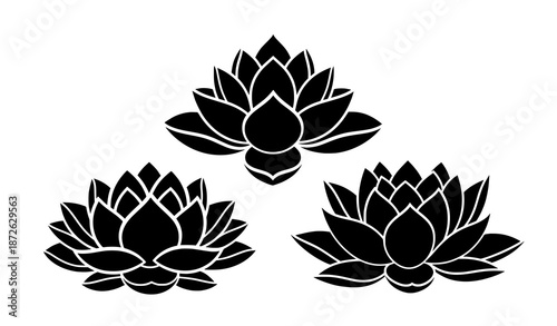 Decorative lotus flower silhouettes vector illustration set