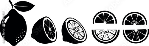 Lemon fruit whole and sliced citrus vector illustration in black and white style for design and decoration
