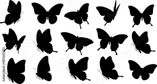 Butterfly Silhouette – Vector Hand-Drawn Illustration