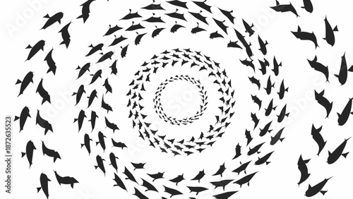 School of fish swimming in spiral formation on white background