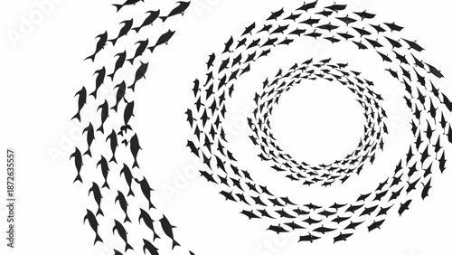 School of fish swimming in spiral formation on white background