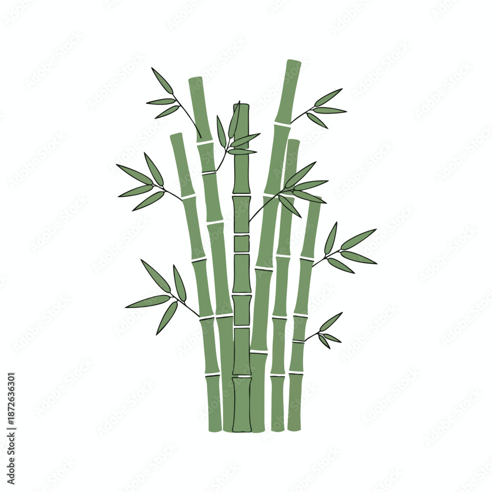 Fototapeta premium Bamboo Illustration on White Background