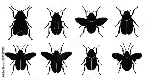 A collection of stylized black silhouette insects including bees and beetles arranged in a grid pattern