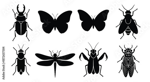 A collection of various black silhouette insects including beetles butterflies and dragonflies