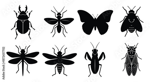 A collection of monochrome insect silhouettes including beetles butterflies and various flying bugs