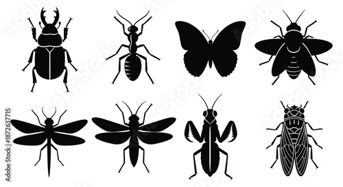 A collection of monochrome insect silhouettes showcasing beetles ants butterflies and various other bugs
