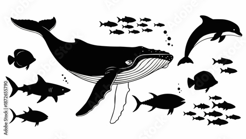 Whale dolphin shark and fish illustration silhouette collection.