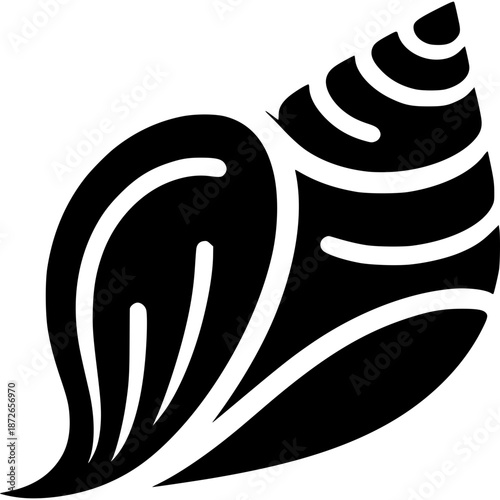 Conch Shell Vector